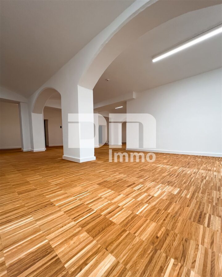 Repräsentative Büroflächen Erstbezug im historischen „Quartier Magazinhof“ auch teilbar - Bürobereich Souterrain